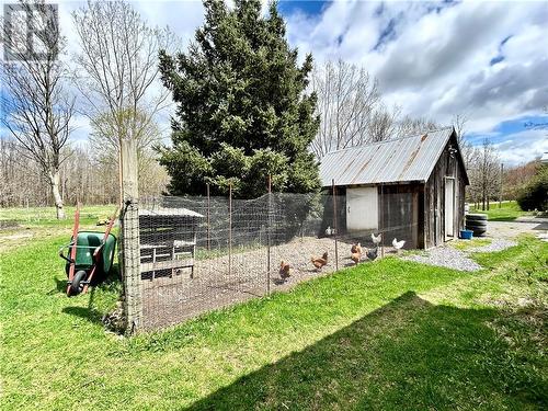 Chicken coop - eggs!!! - 16771 Grant Road, Avonmore, ON - Outdoor