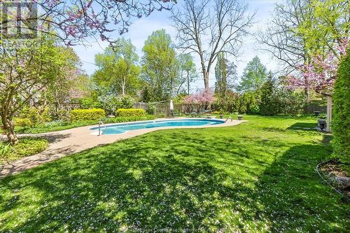 53 Laird Avenue South, Amherstburg, ON - Outdoor With In Ground Pool With Backyard
