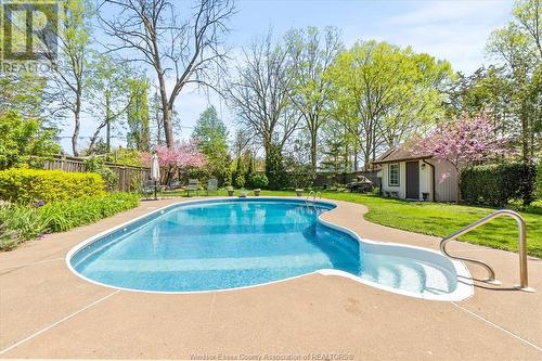 53 Laird Avenue South, Amherstburg, ON - Outdoor With In Ground Pool With Backyard