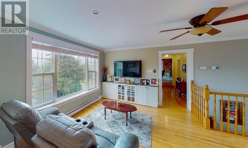 20 Kavanaghs Road, Clarkes Beach, NL - Indoor Photo Showing Living Room