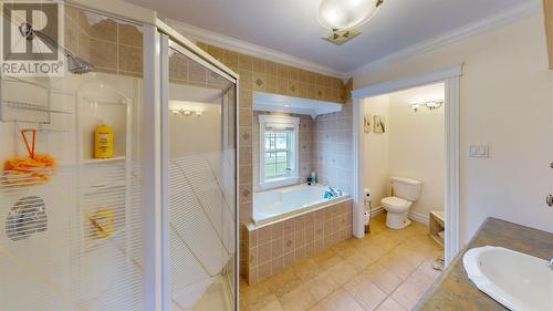 20 Kavanaghs Road, Clarkes Beach, NL - Indoor Photo Showing Bathroom