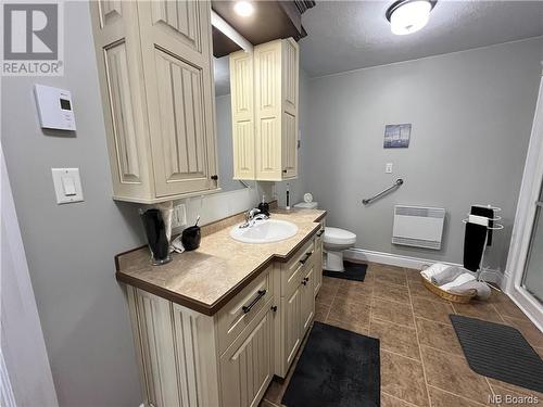 21 Bertelson Street, Grand-Sault/Grand Falls, NB - Indoor Photo Showing Bathroom