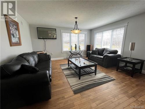 21 Bertelson Street, Grand-Sault/Grand Falls, NB - Indoor Photo Showing Living Room