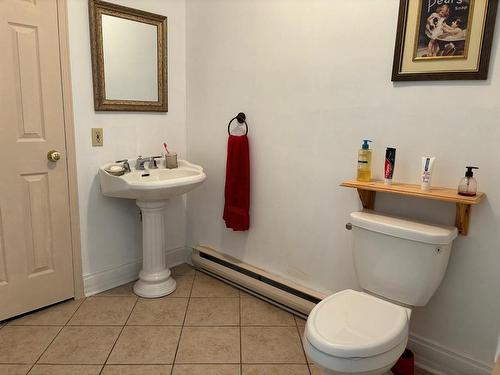 Salle de bains - 439 Rue Filion, Lachute, QC - Indoor Photo Showing Bathroom