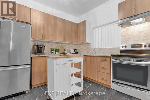 152 Terrace Hill Street, Brantford, ON - Indoor Photo Showing Kitchen
