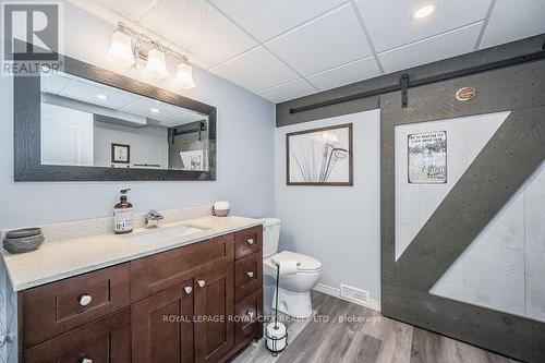 49 Levitta Street, Grey Highlands, ON - Indoor Photo Showing Bathroom