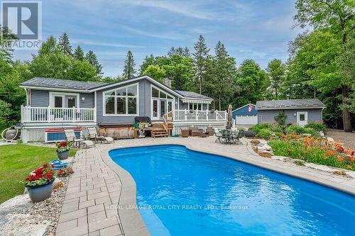 49 Levitta Street, Grey Highlands, ON - Outdoor With In Ground Pool With Deck Patio Veranda