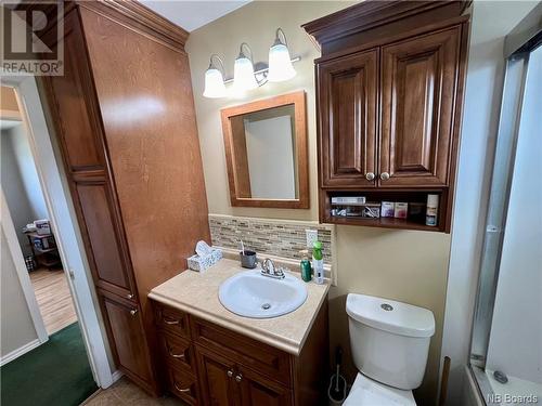 727 4Ieme Avenue, Grand Falls, NB - Indoor Photo Showing Bathroom