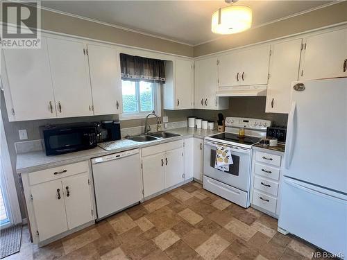 727 4Ieme Avenue, Grand Falls, NB - Indoor Photo Showing Kitchen With Double Sink