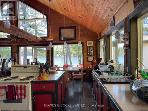 425 Nicol Island, Addington Highlands, ON - Indoor Photo Showing Kitchen With Double Sink