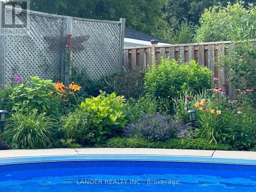 4 Red Mills Drive, East Gwillimbury, ON - Outdoor With In Ground Pool