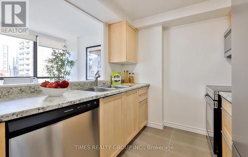 1201 - 117 Gerrard Street, Toronto, ON - Indoor Photo Showing Kitchen With Double Sink