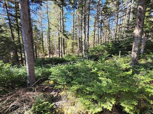 Lot A-3 Highway 329, Blandford, NS 