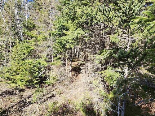 Lot A-3 Highway 329, Blandford, NS 