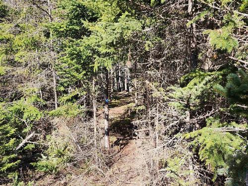 Lot A-3 Highway 329, Blandford, NS 