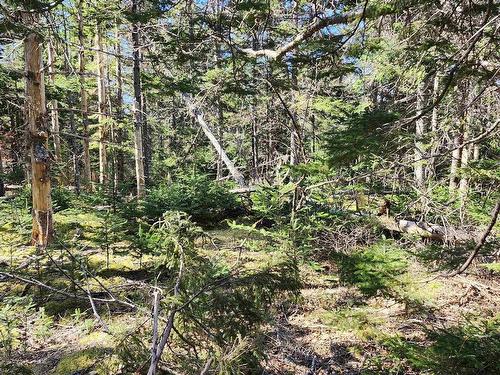 Lot A-3 Highway 329, Blandford, NS 