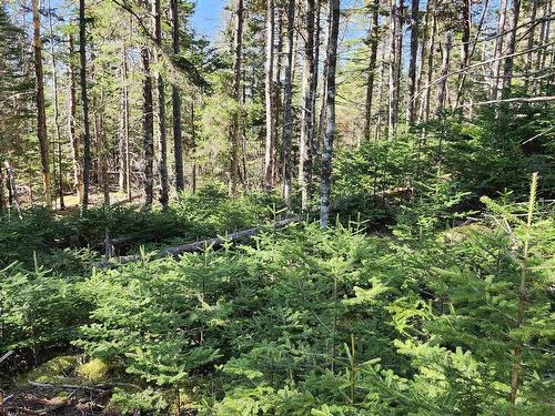 Lot A-3 Highway 329, Blandford, NS 