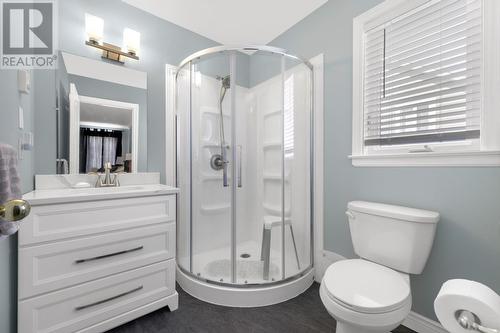 28 Brooklyn Avenue, St. John'S, NL - Indoor Photo Showing Bathroom