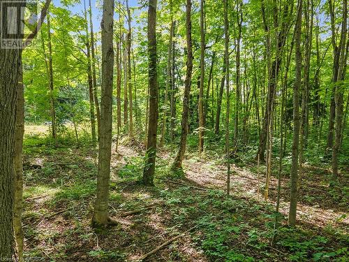 Lot 6 10Th Concession, Grey Highlands, ON 