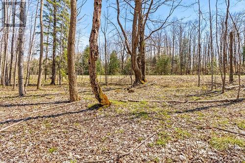 Lot 6 10Th Concession, Grey Highlands, ON 