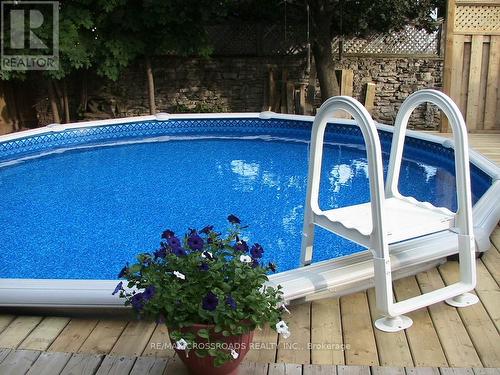 20 Grandview Avenue, Cambridge, ON - Outdoor With Above Ground Pool