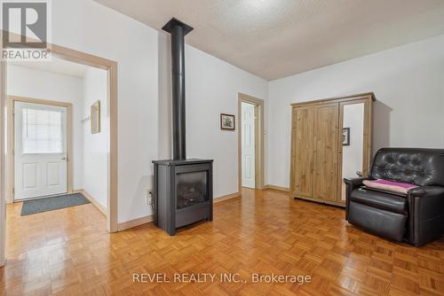 176 East Avenue N, Hamilton, ON - Indoor With Fireplace