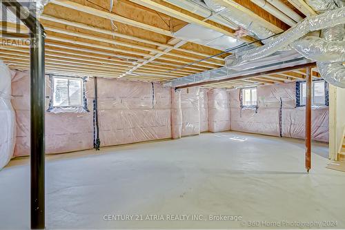5 Clear Spring Avenue, Georgina, ON - Indoor Photo Showing Basement