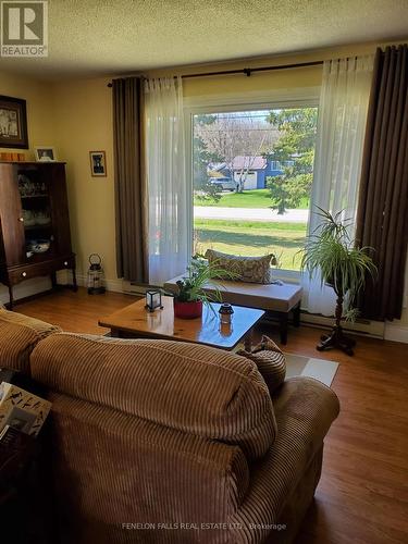 120 Clifton Street, Kawartha Lakes, ON - Indoor Photo Showing Living Room