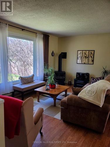 120 Clifton Street, Kawartha Lakes, ON - Indoor Photo Showing Living Room