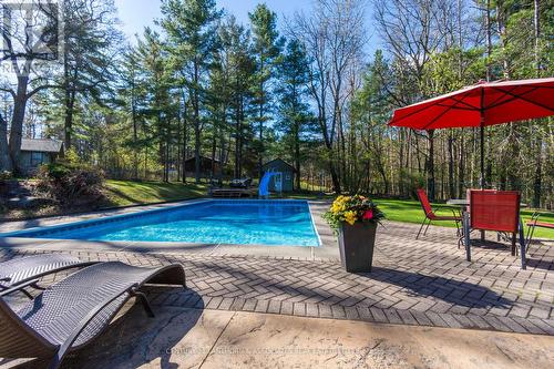 11 River Valley Road, Quinte West, ON - Outdoor With In Ground Pool With Deck Patio Veranda With Backyard