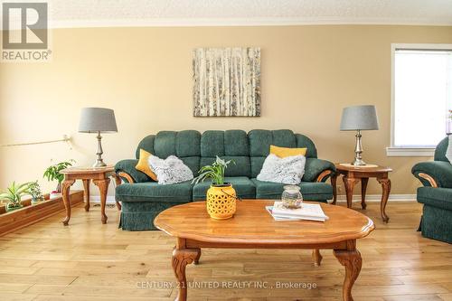 473 Cameron Street, Peterborough, ON - Indoor Photo Showing Living Room
