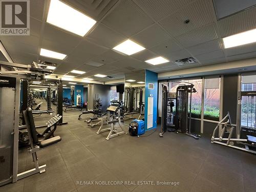 208 - 1029 King Street W, Toronto, ON - Indoor Photo Showing Gym Room