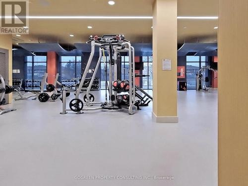 1266 - 60 Ann O'Reilly Road, Toronto, ON - Indoor Photo Showing Gym Room