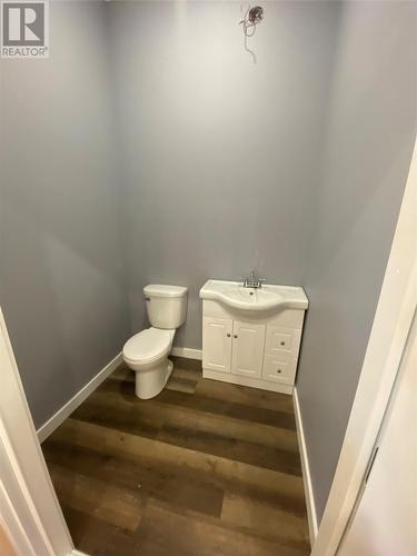 14 Exploits Lane, Bishop'S Falls, NL - Indoor Photo Showing Bathroom