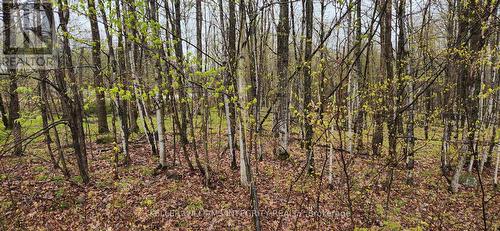 Lot 15 Hollie Drive, Lanark Highlands, ON 