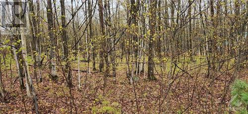 Lot 15 Hollie Drive, Lanark Highlands, ON 