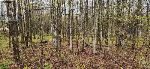 Lot 15 Hollie Drive, Lanark Highlands, ON 