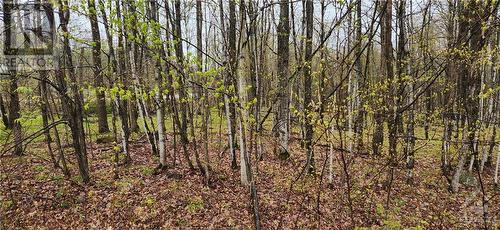 Lot 15 Hollie Drive, Lanark Highlands, ON 