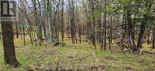 Lot 15 Hollie Drive, Lanark Highlands, ON 