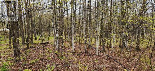 Lot 15 Hollie Drive, Lanark Highlands, ON 