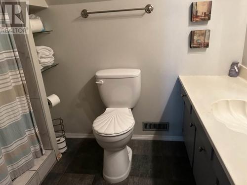 3025 Camozzi Road, Revelstoke, BC - Indoor Photo Showing Bathroom