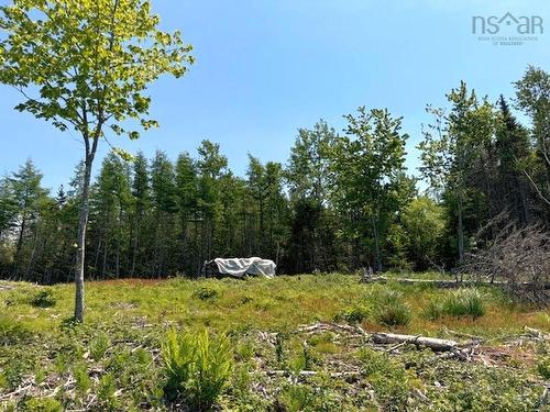 Lot 4 Grandique Road, Arichat, NS 