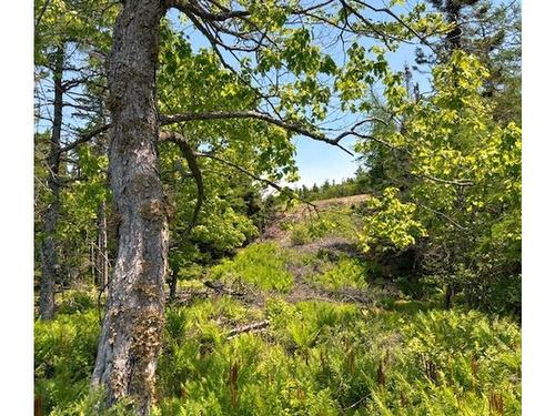 Lot 4 Grandique Road, Arichat, NS 