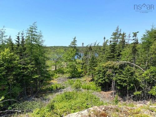 Lot 4 Grandique Road, Arichat, NS 