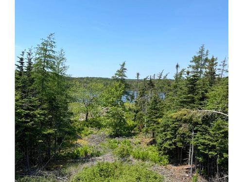 Lot 4 Grandique Road, Arichat, NS 