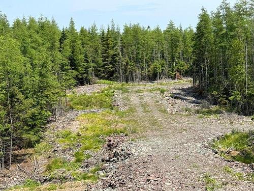 Lot 4 Grandique Road, Arichat, NS 