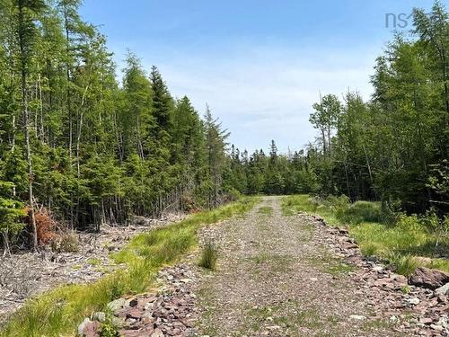 Lot 4 Grandique Road, Arichat, NS 