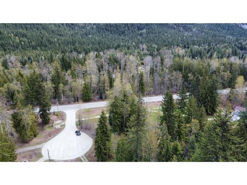 114 Eagles Nest Road, Nakusp, BC - Outdoor With View