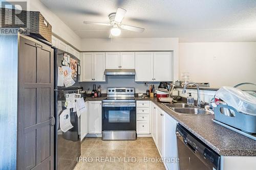 112 - 1471 Maple Avenue, Milton, ON - Indoor Photo Showing Kitchen With Double Sink