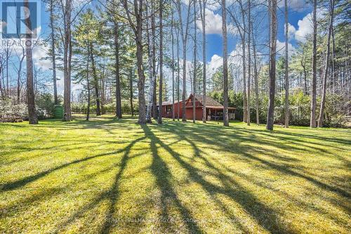 47 Grandview Crescent, Oro-Medonte, ON - Outdoor With View